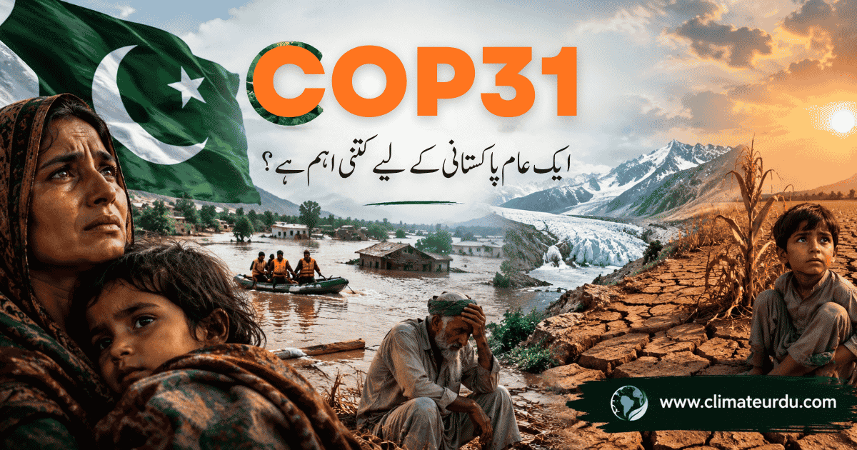 کیا COP31 بھی یونہی گزر جائے گی